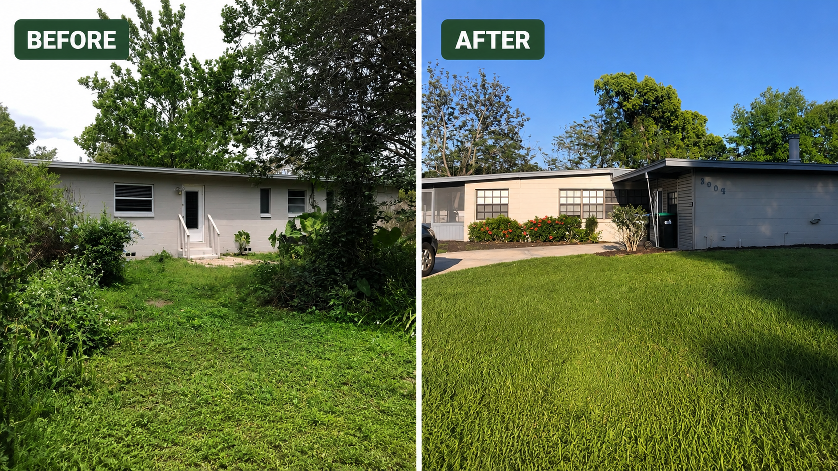 Before and after view of an overgrown front yard restored with a mowed lawn and trimmed landscaping.