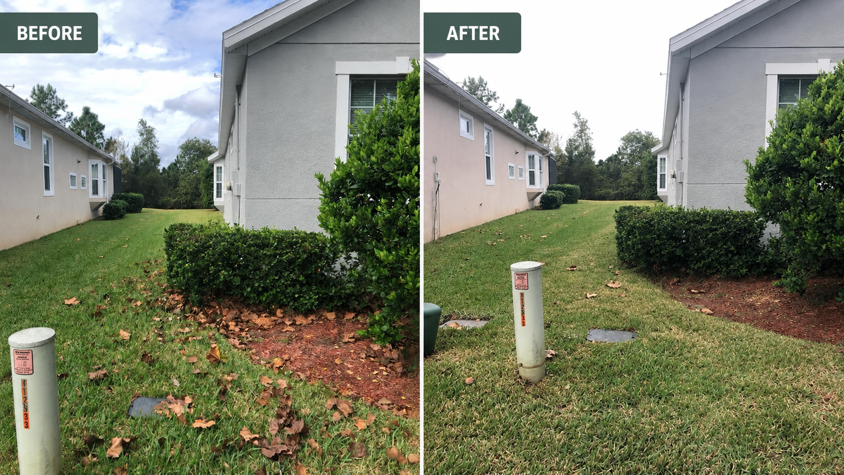 Before and after view of a side yard cleaned of leaves and debris.