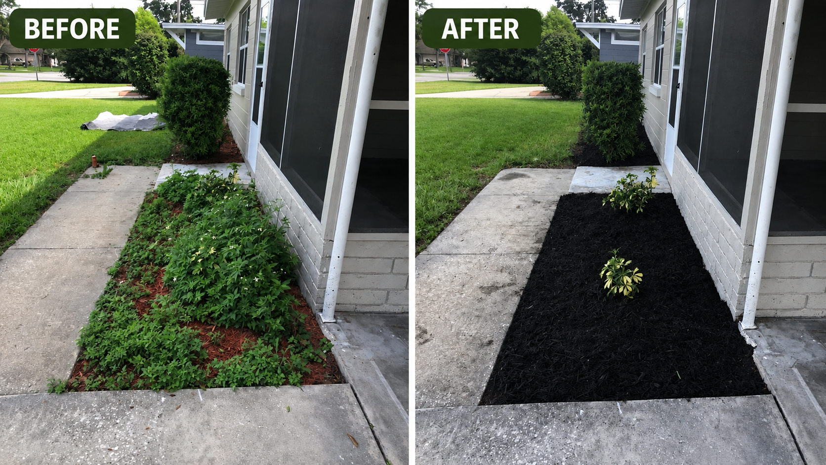 Before and after view of a planting bed cleared and refreshed with dark mulch.